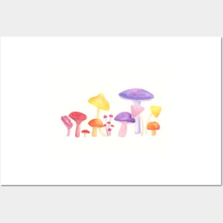 Mushrooms Posters and Art